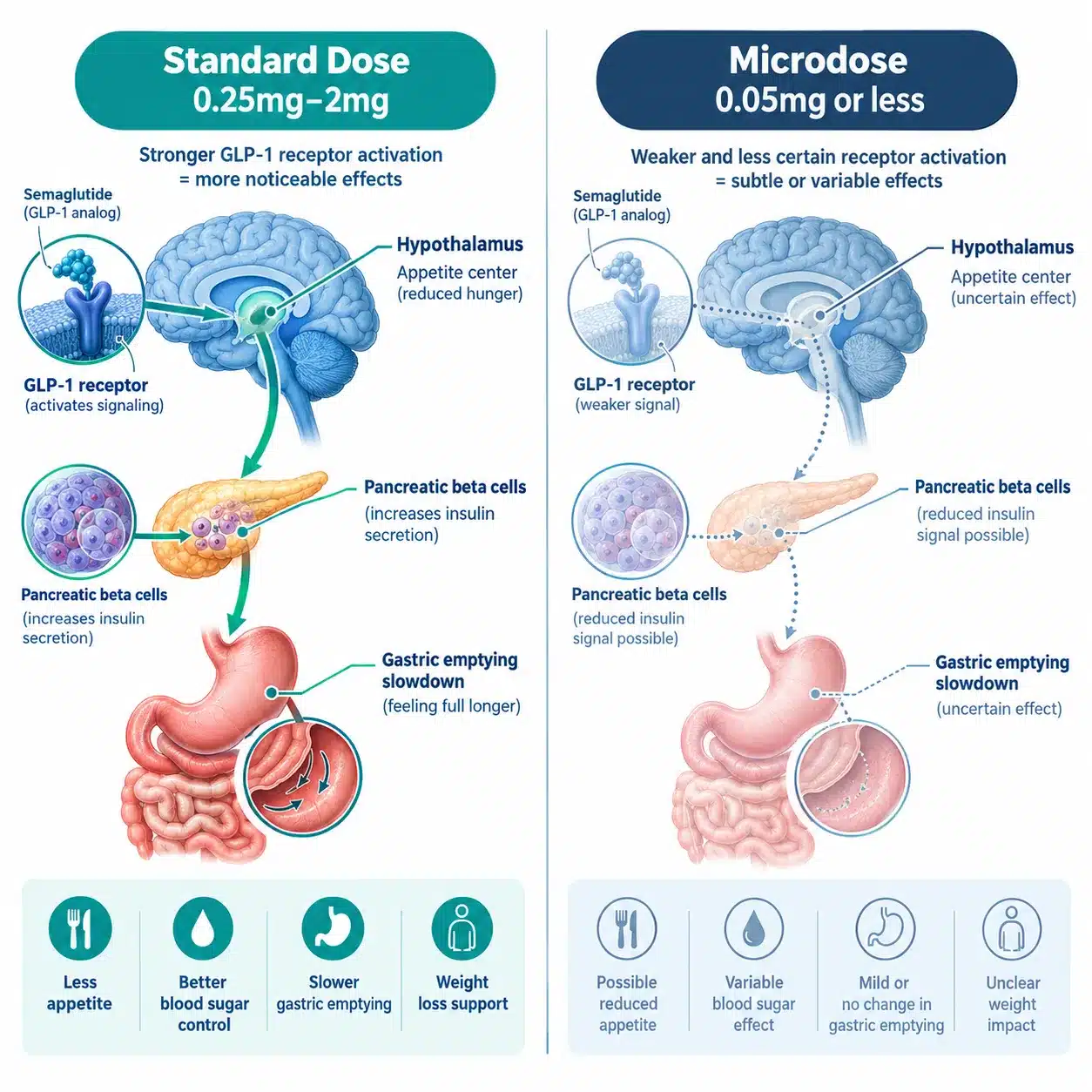 microdosing ozempic 2 What Is Microdosing Ozempic and How Does It Work