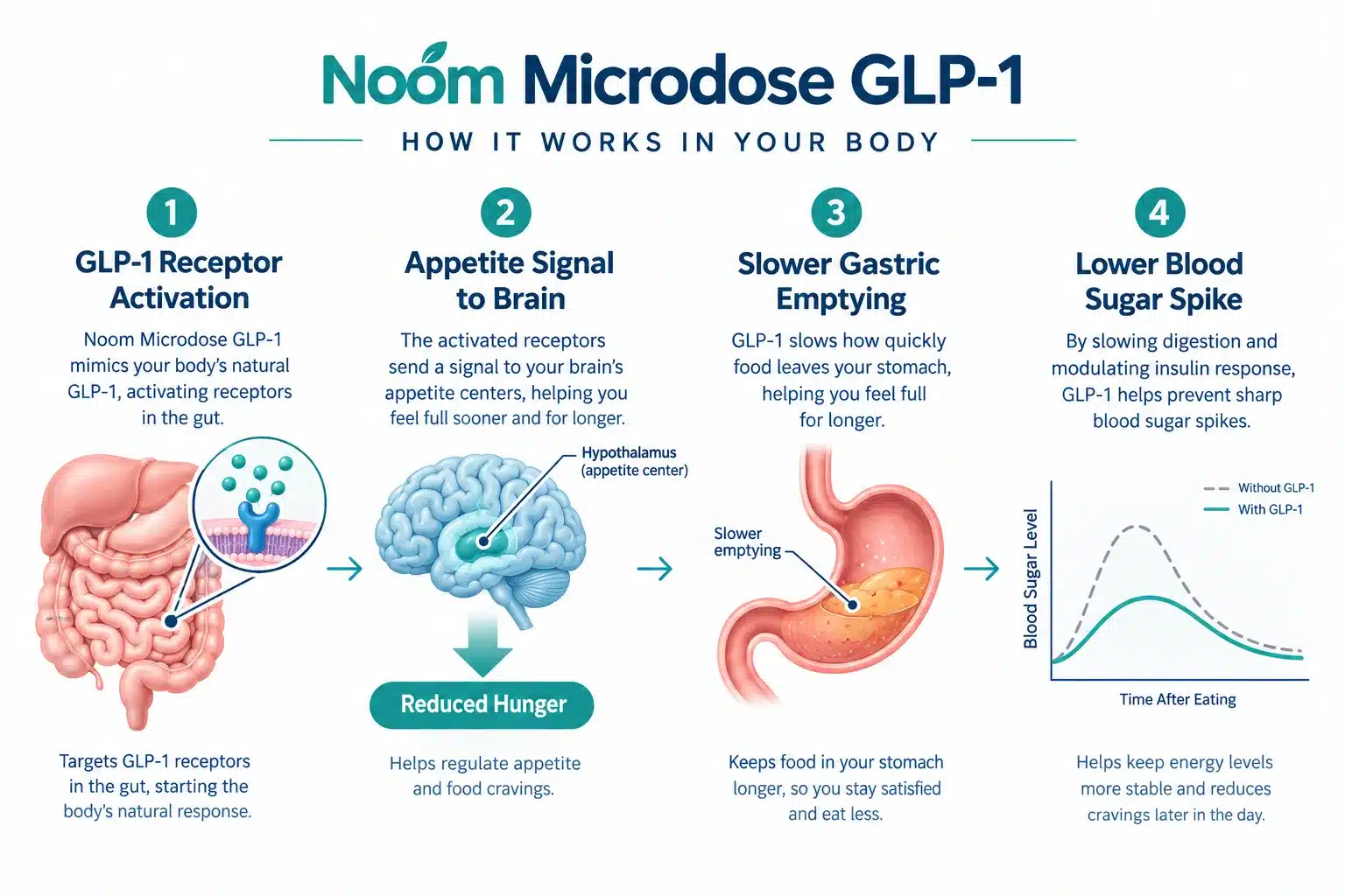 noom microdose glp 1 2 What Is Noom Microdose GLP-1?