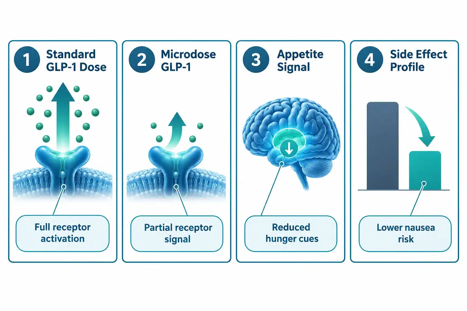 noom microdosing 2 What Is Noom Microdosing?