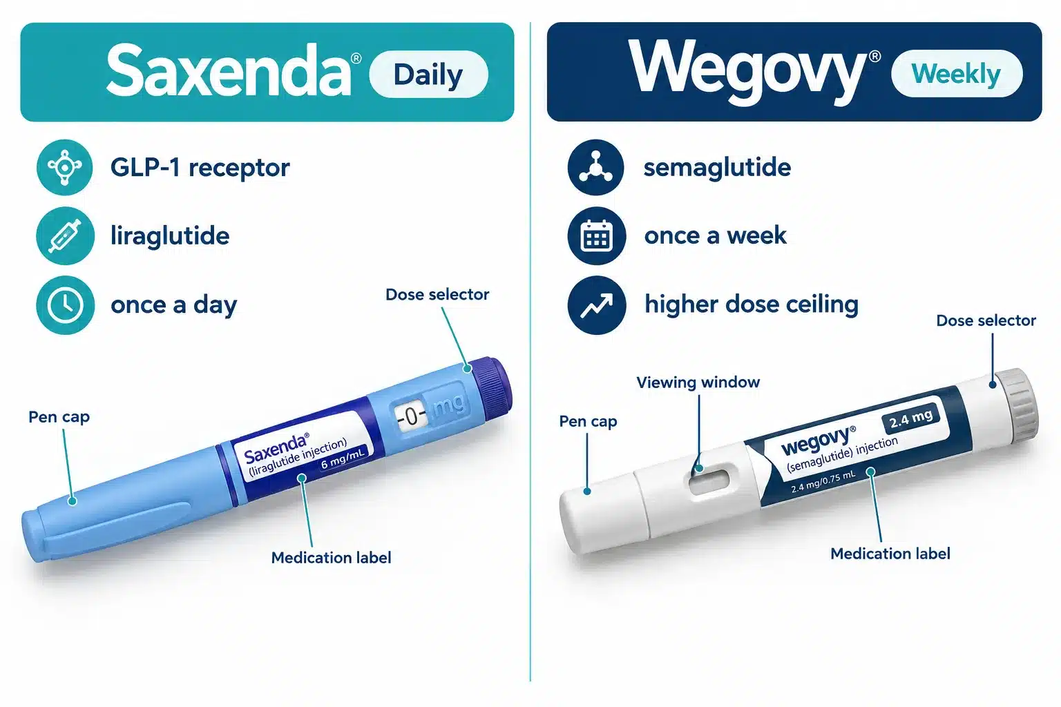 Saxenda vs Wegovy: Daily vs Weekly — Which Works Better? 2 What is Saxenda and how does it actually work