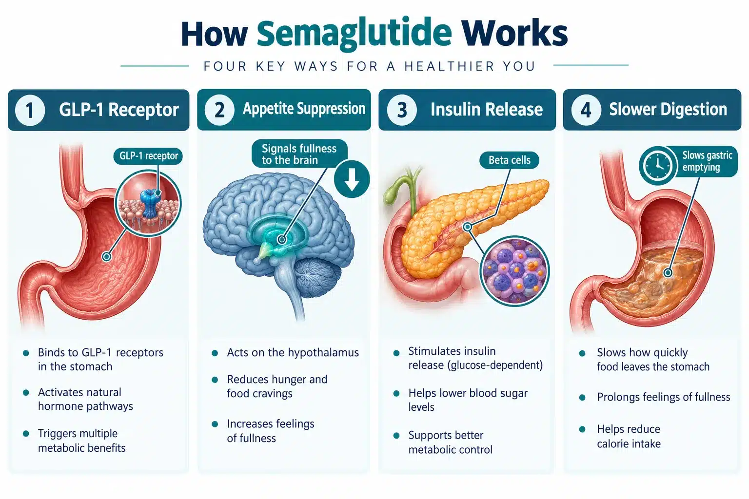 semaglutide online 2 What Is Semaglutide and How Does It Work?