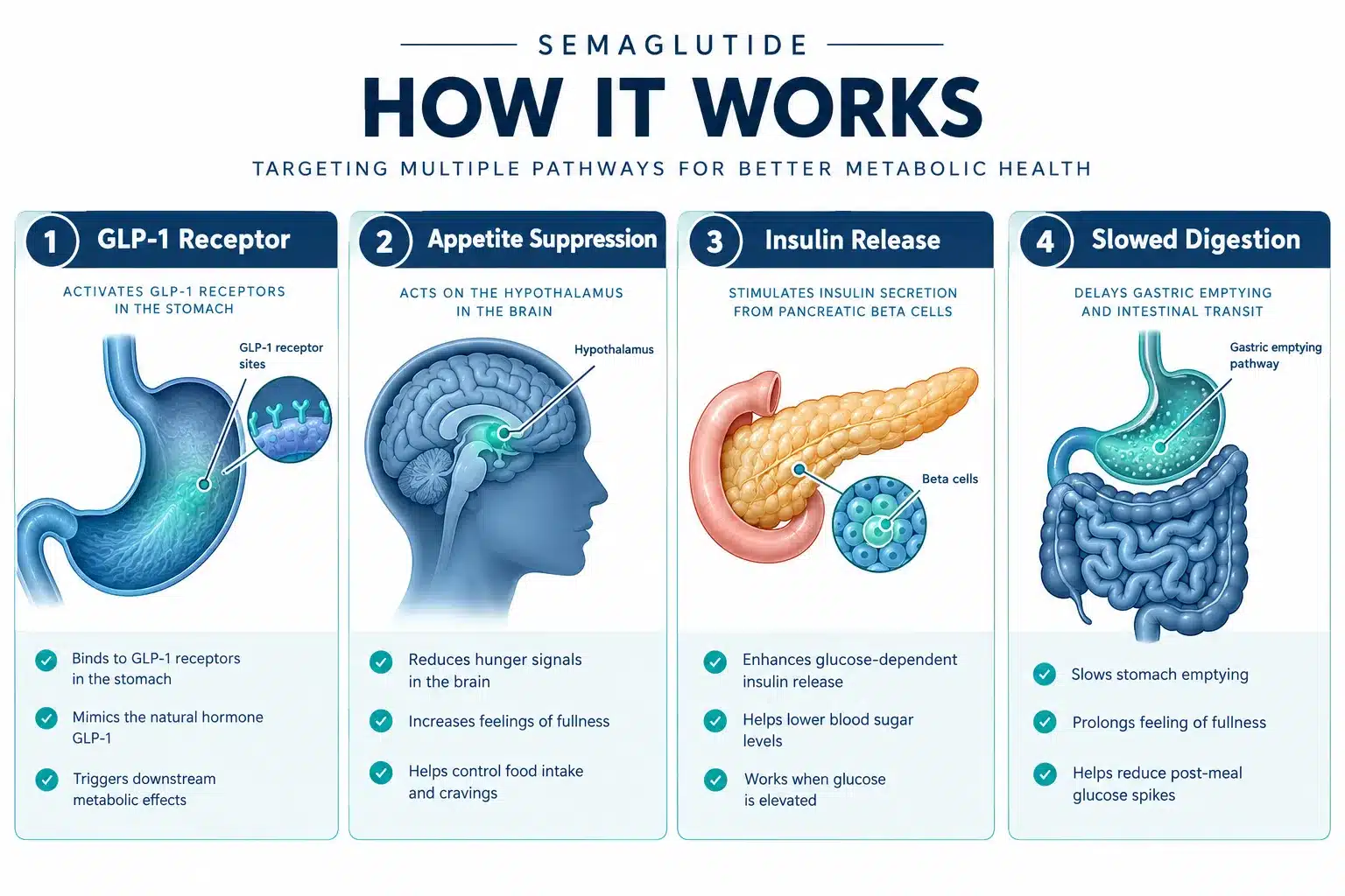 semaglutide prescription online 2 What Is Semaglutide and How Does It Work