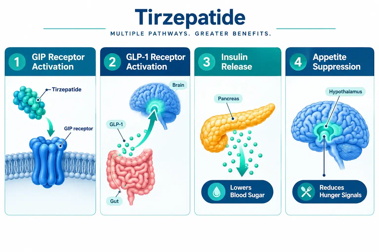 tirzepatide online 2 What Is Tirzepatide and How Does It Work