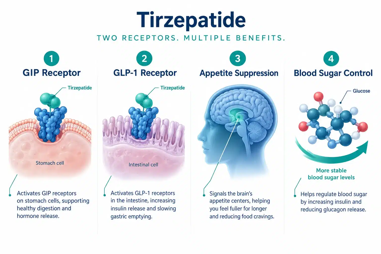 tirzepatide without insurance 2 What Is Tirzepatide and How Does It Work