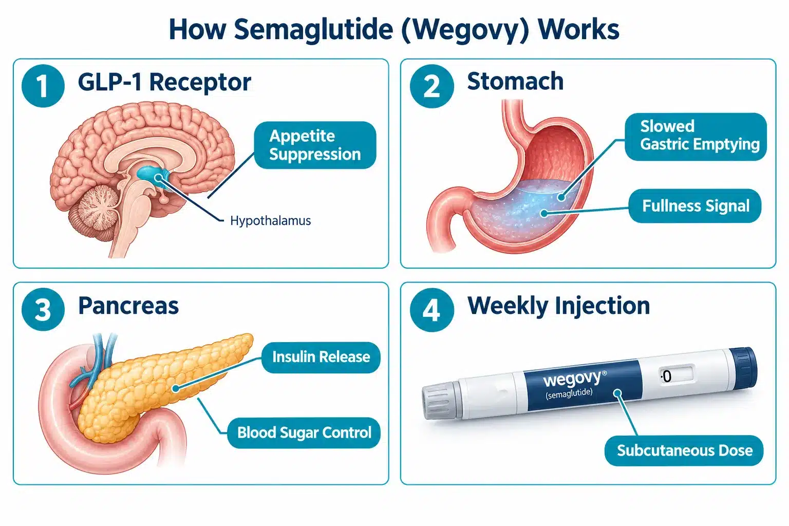 wegovy online 2 What Is Wegovy and How Does It Work