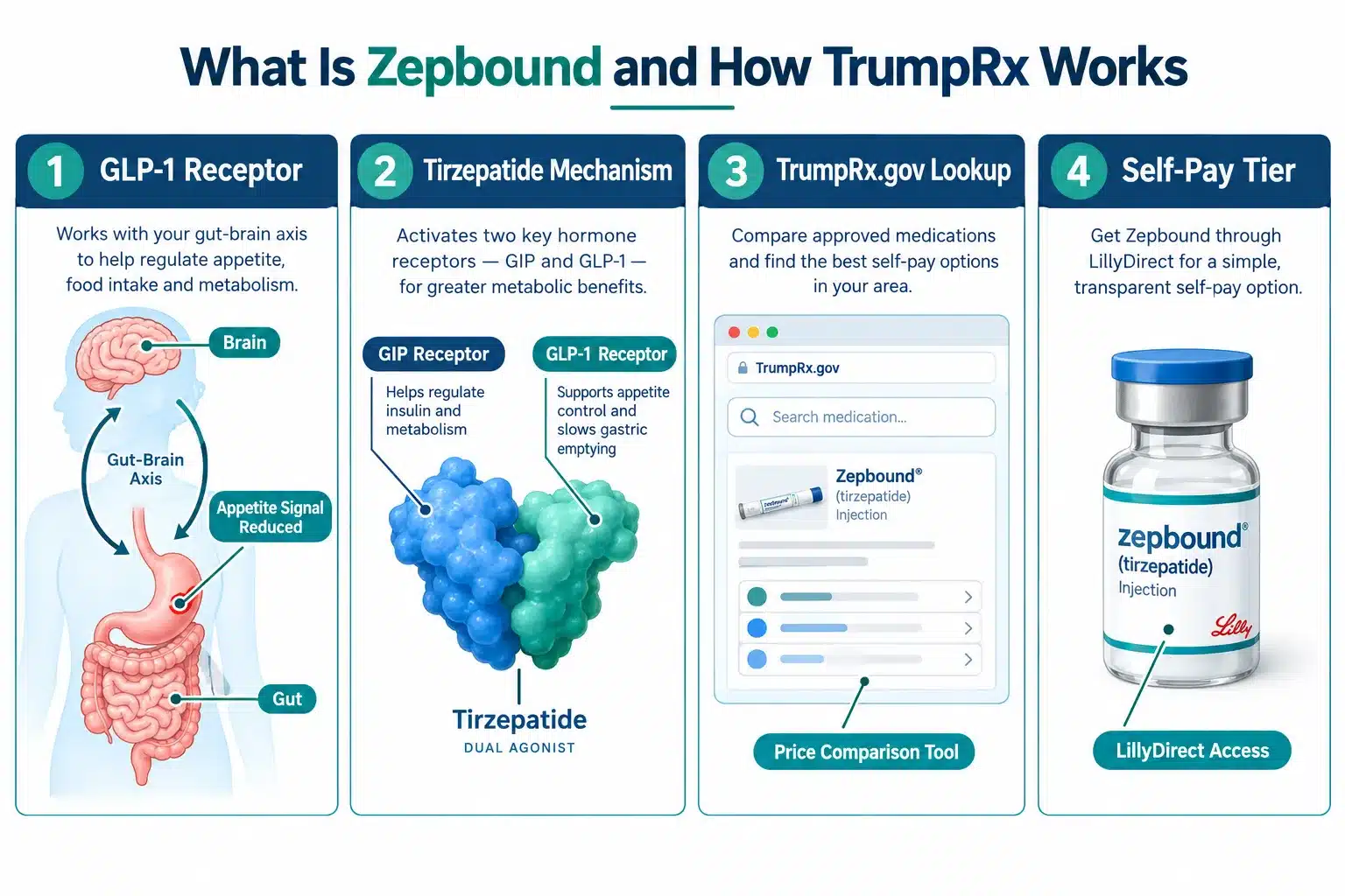 Trump Rx Zepbound Pricing: What You Need to Know 2 What Is Zepbound and How Does It Work