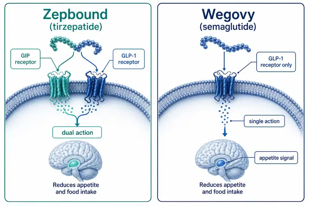 Zepbound vs wegovy: Key Differences, Cost, Effectiveness & What to Know 2 What's the Main Difference Between Zepbound and Wegovy