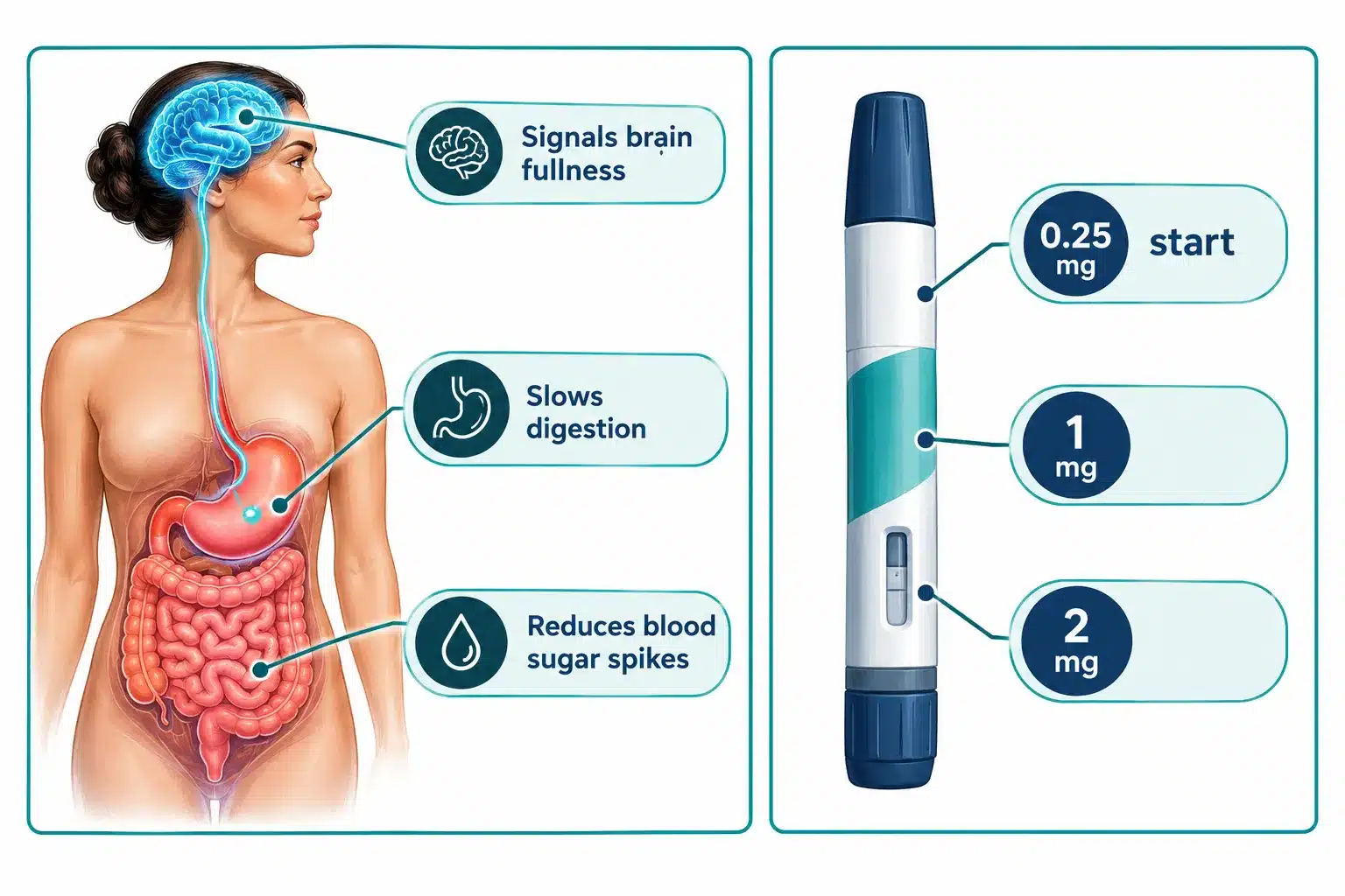 Ozempic Reviews: What Real Users (and Reddit) Say 3 Who shouldn't take Ozempic: medical conditions to avoid it