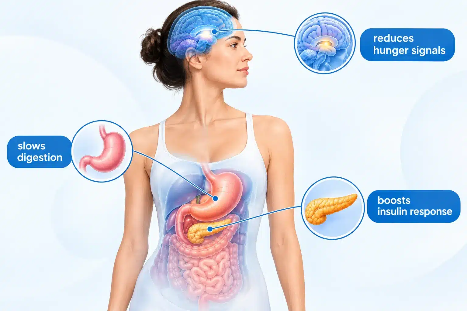 Wegovy vs Zepbound: Weight Loss, Side Effects & Cost Compared 3 Who Shouldn't Take Wegovy or Zepbound